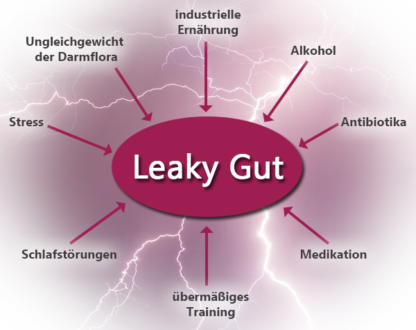 Ursachen Leaky Gut Syndrom
